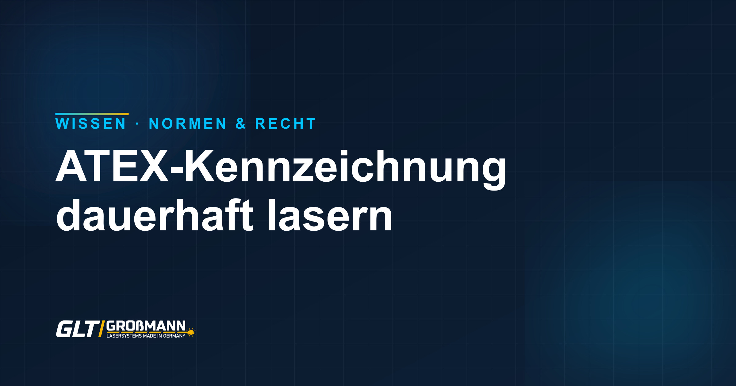Edelstahl-Typenschild mit lasergravierter ATEX-Kennzeichnung für ein Ex-geschütztes Gerät